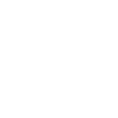 No Internet Connection Detected
